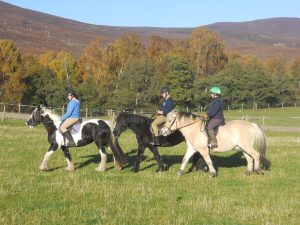 Alvie Estate Horse Riding