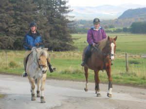 Alvie Estate Horse Riding